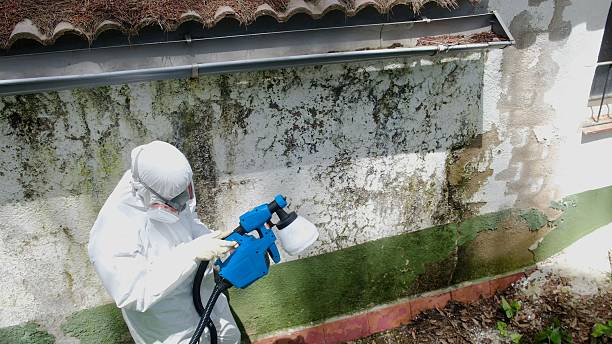 Trusted Commercial Mold Remediation service in Millington, MI - Cheap Mold Removal